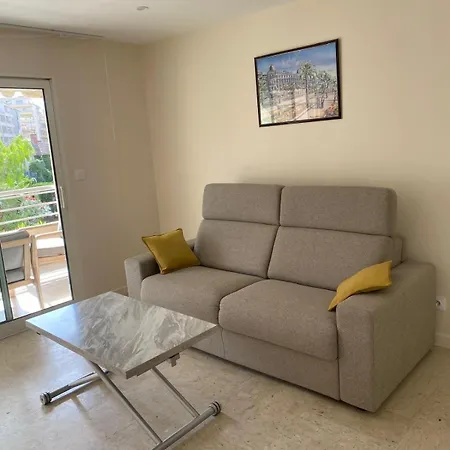 De Standing - Piscine -croisette A 3 Min Apartment Cannes